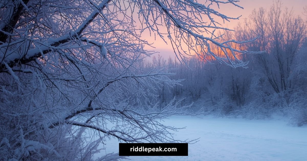 Jack Frost and blizzard winter riddles for adults